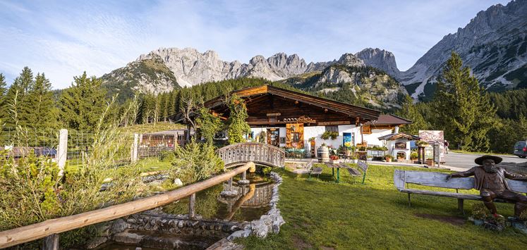 Almladl auf der Wochenbrunner Alm