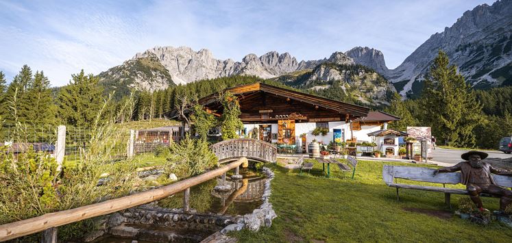 Almladl auf der Wochenbrunner Alm
