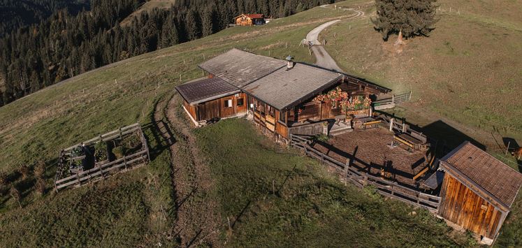 Ranhart Alm (2)