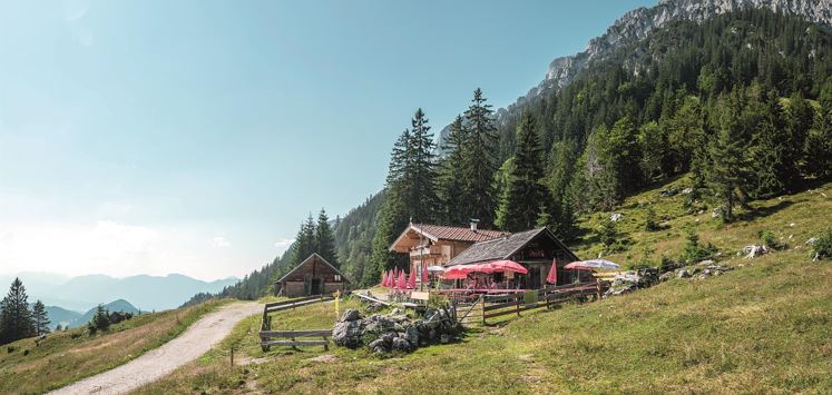 Steiner Hochalm_Scheffau