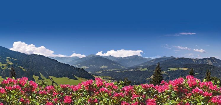 Söll_Panorama_Wilder Kaiser