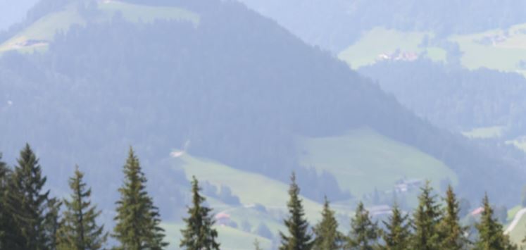 Au Hochalm Kuh